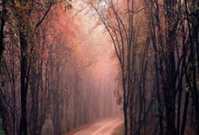 北京首钢大胜山西队，豪取四连胜